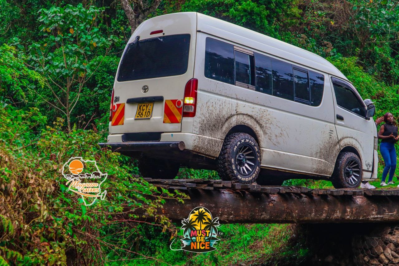 whatsapp image 2025 10 06 at 10.01.10 am